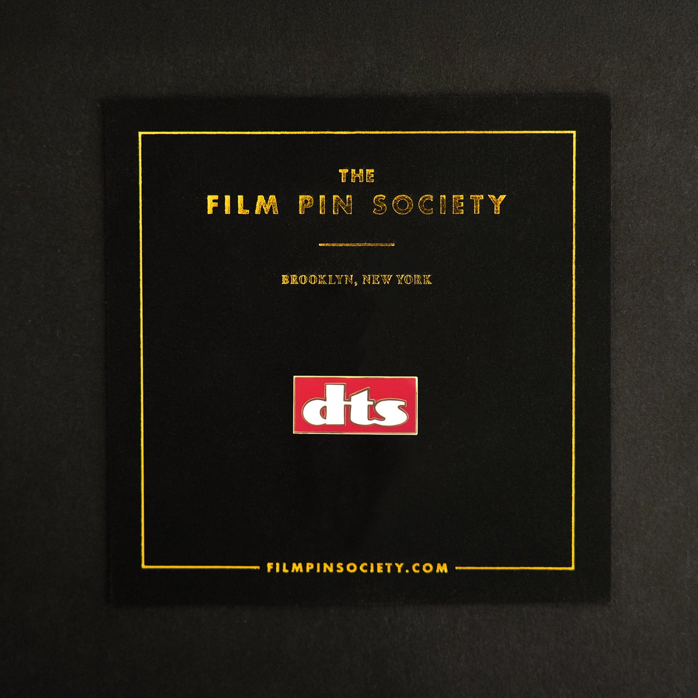 Vintage DTS Pin